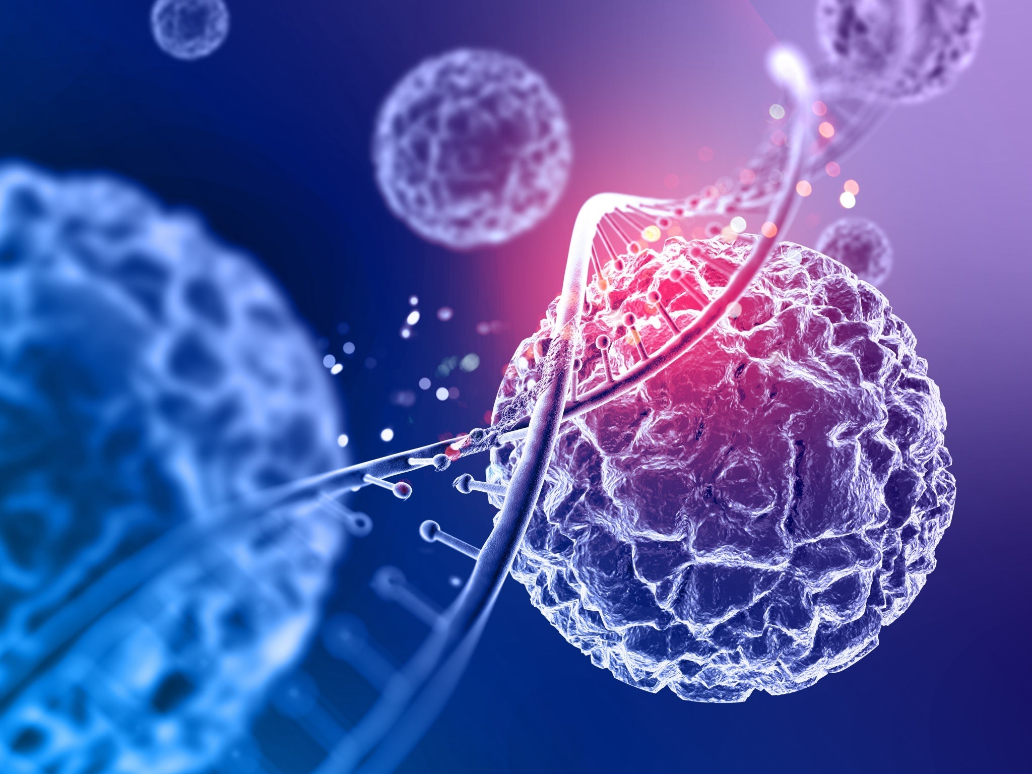 stem cell for anti aging of science backed