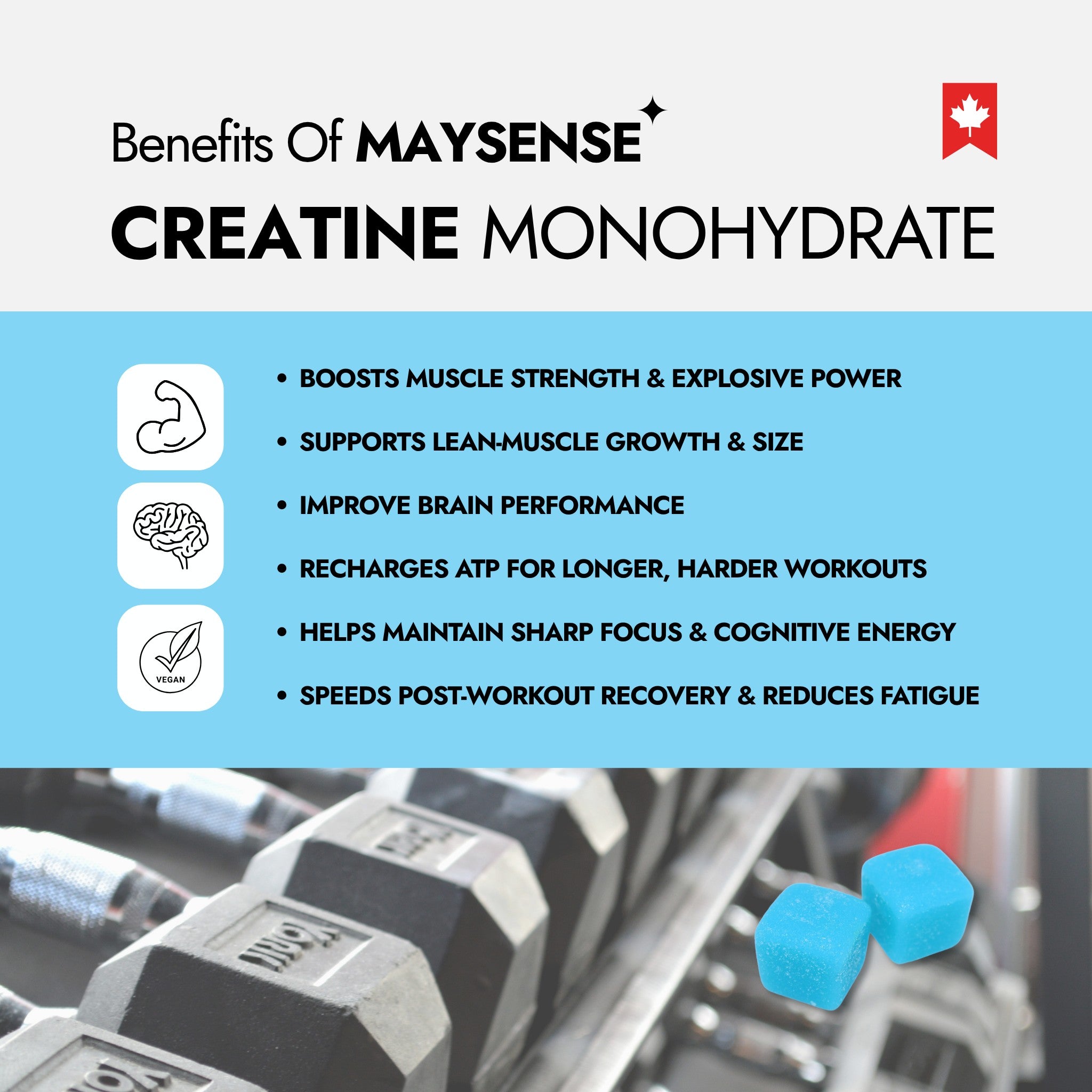 the benefits of Maysense Creatine monohydrate what can boosts muscle strength, supports lean muscle growth, improve brain performance, helps maintain sharp focus
