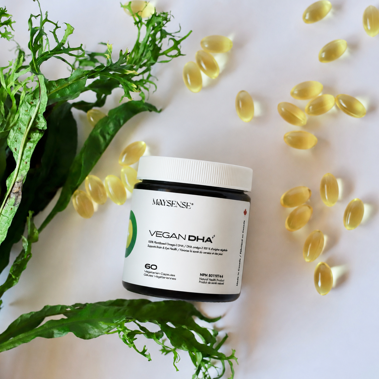 Omega-3 DHA from Algae | Plant-Based Brain &amp; Heart Health