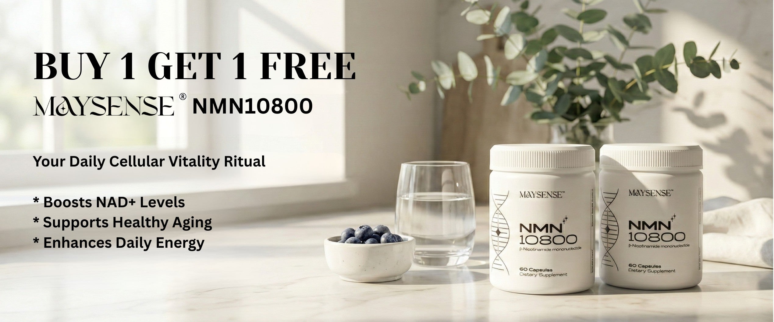 Nmn nad booster energy metabolism