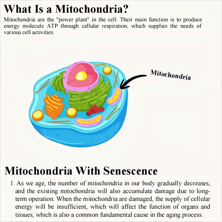 C29921bc b271 4602 89b1 8fa87d2219e9 1 1