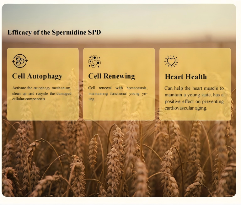 E1c7eac1 02e5 4d47 bff5 7f8adbd087d5 1 1