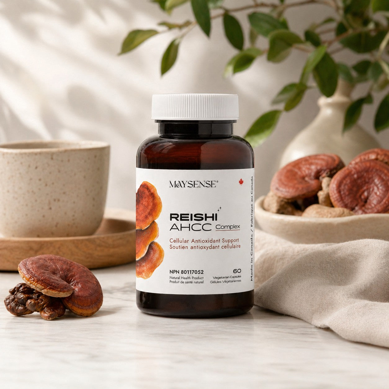 New Product - Reishi & AHCC Complex | Immune & Cellular Antioxidant Support