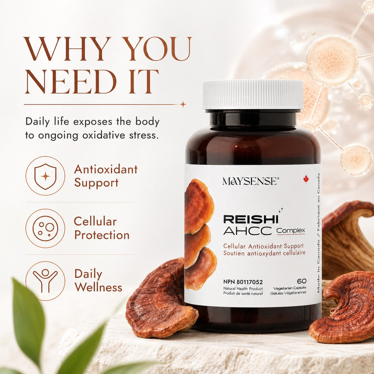 Why you need it
